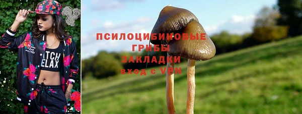 прущая мука Пересвет