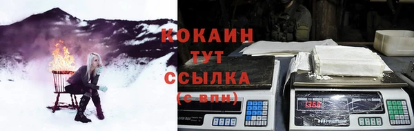 прущая мука Пересвет