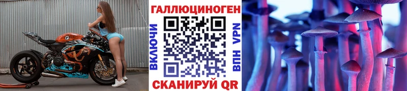 закладка мориарти официальный сайт Псилоцибиновые грибы Psilocybe Тайга